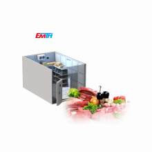 Blast Deep Freezer For Fish And Meat